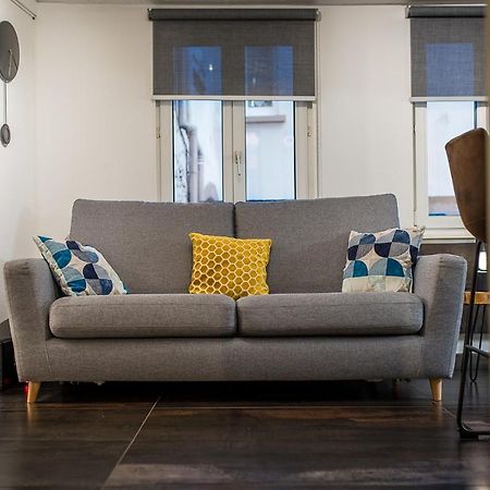 Appart 4 Pers Design Et Cosy Avec Jardin Au Coeur De Selestat Luaran gambar