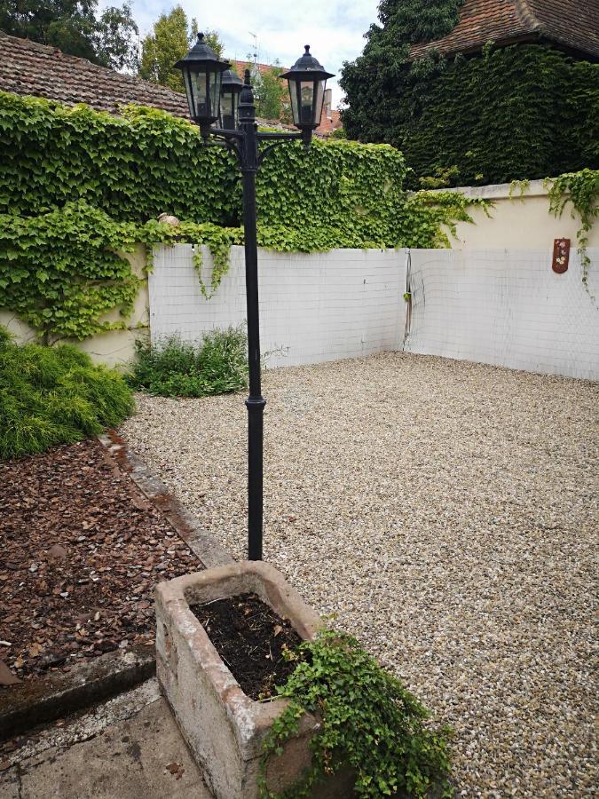 Appart 4 Pers Design Et Cosy Avec Jardin Au Coeur De Selestat Luaran gambar